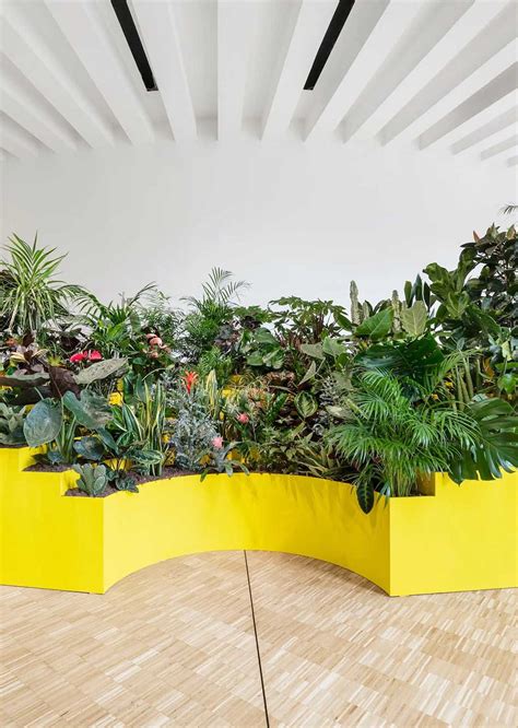 Parliament of Plants – Studio Céline Baumann.